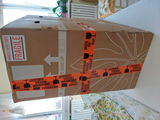 Antonella J. review photo