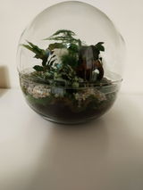 Eleonora W. review photo