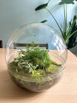 Customer review photo