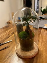 Customer review photo