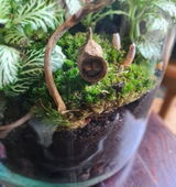Ronja C. review photo