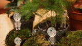 J.N. review photo
