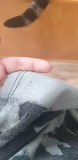 A***** T***** review photo