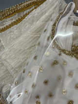 Amrita kaur review photo