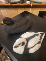 Rob C review photo