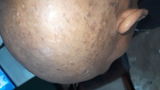 PIYUSH KUMAR SINGH review photo