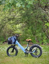 Kim Huber Buzan review photo