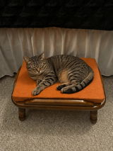 Gracie review photo