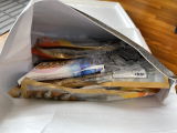 Lee J.W. review photo