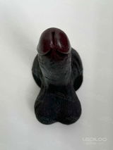 S. review photo
