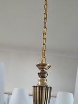 ShopperTracey review photo