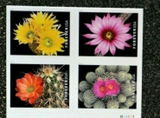 Francisco Rodriguez review photo