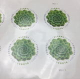 E. review photo