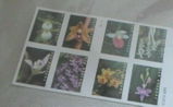 Goin Postal review photo