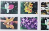 Goin Postal review photo
