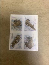 I.W. review photo