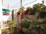 Dr Gupta review photo