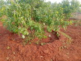 ARUN KUMAR review photo