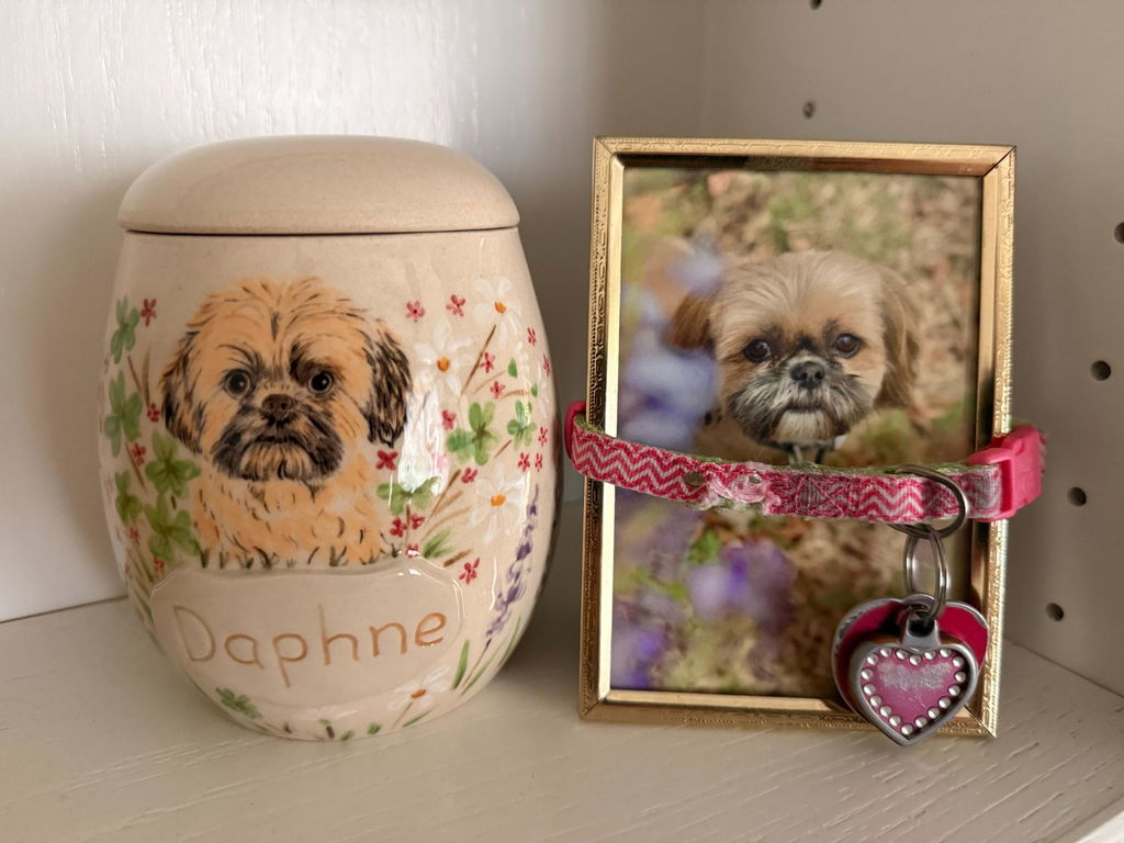 Custom Pet Portrait Ceramic Memorial Urn – Handmade Pet Ashes Keepsake