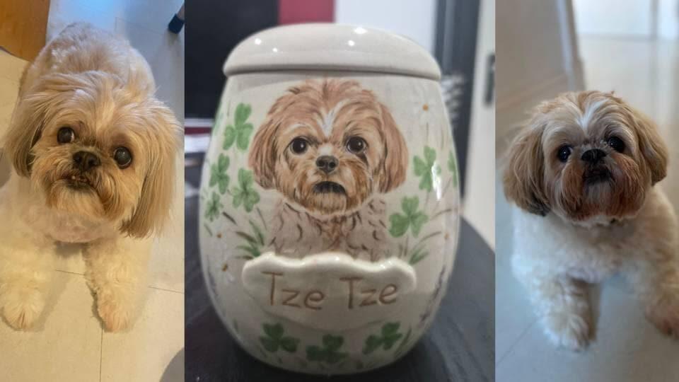 Custom Pet Portrait Ceramic Memorial Urn – Handmade Pet Ashes Keepsake