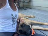 Etsy customer review photo