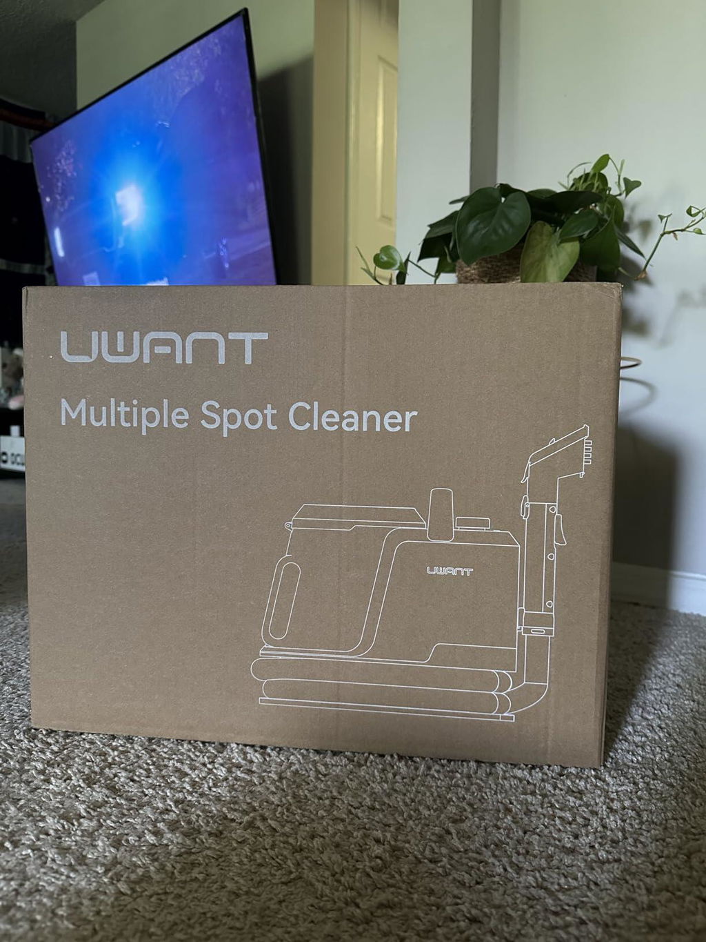 UWANT Portable Carpet & Spot Cleaner Y100