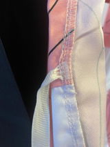 L. review photo