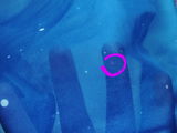 O. review photo