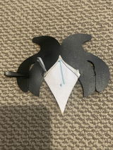 P.K. review photo