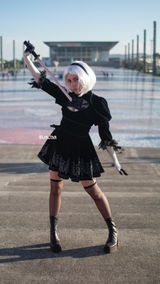 F.E. review photo