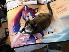 Review picture