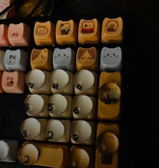 Reed G review photo