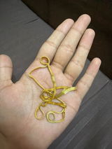 Ekamjot Singh review photo