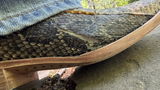 Richard Malveaux review photo