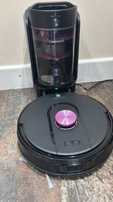 Blinks review photo