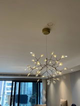 Delfina Kunze review photo