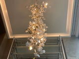Emily Labowe review photo