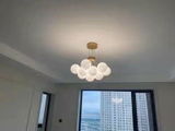 Prim review photo