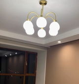 SuccoConstantin review photo