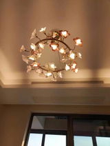 MARGOLIS review photo