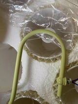 FelcarekGabriel review photo