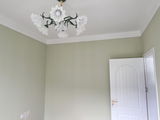Grace review photo