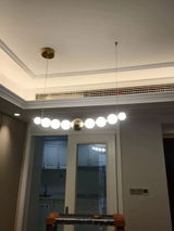 Shawn,Lion King construction,, review photo