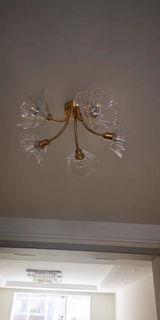 ,Bella review photo