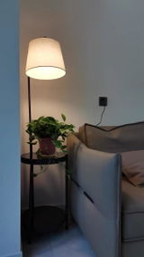 Ravindra Singh review photo