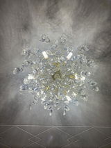 Neesy review photo