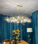 ,E Brou review photo