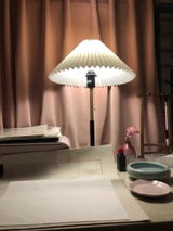 RamnathShastri review photo