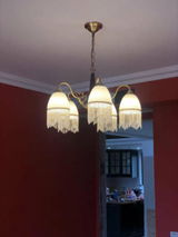 casellaliz review photo