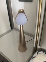 Bugsey review photo